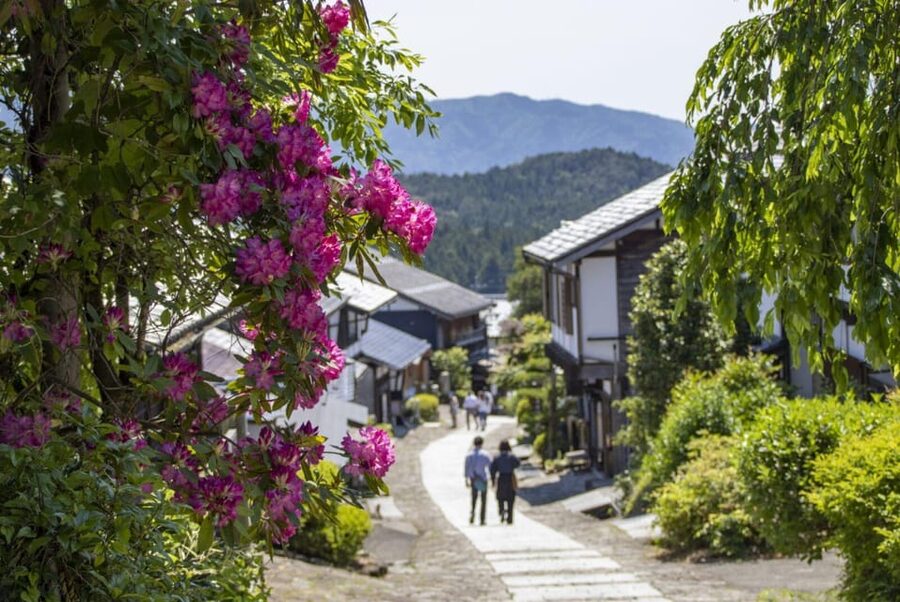 1-Day Tour from Nagoya: Hiking the Historic Nakasendo Trail - Should you book it?