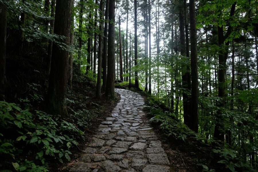 1-Day Tour from Nagoya: Hiking the Historic Nakasendo Trail - Meeting at Nagoya Station at 9:30