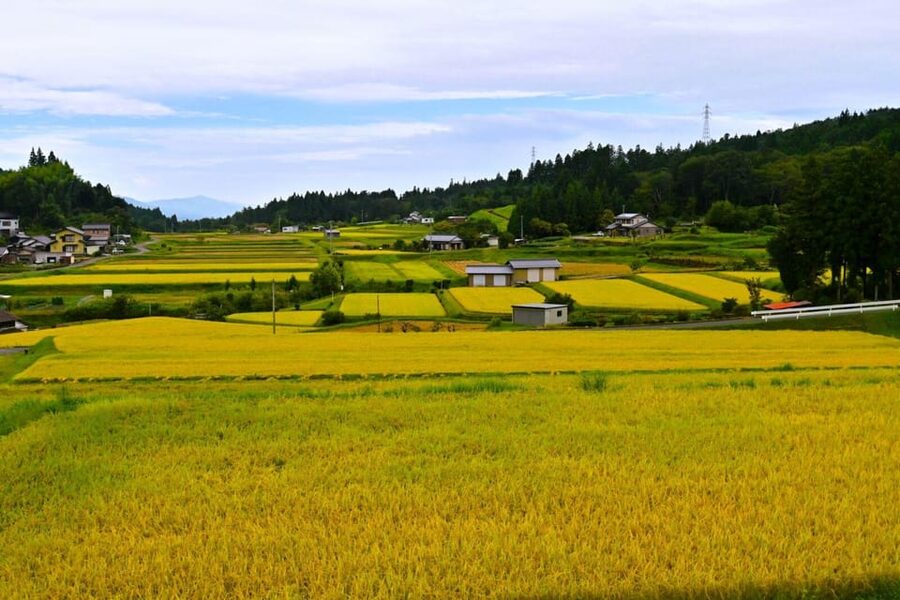 1-Day Tour from Nagoya: Hiking the Historic Nakasendo Trail - Three hours through forest, streams, and mountain country
