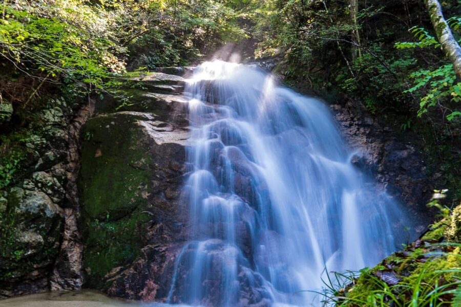 1-Day Tour from Nagoya: Hiking the Historic Nakasendo Trail - Who should book this Nakasendo day trip?