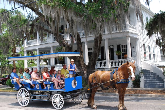 #1 Historical Horse Drawn Carriage Tour - Key points to know before you book