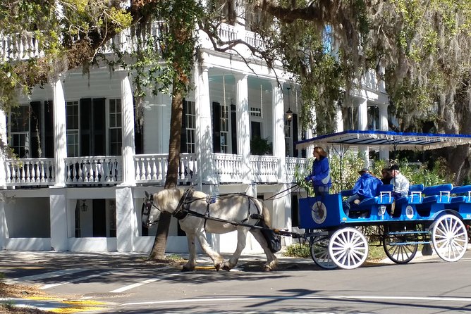 #1 Historical Horse Drawn Carriage Tour - The horses are part of the experience