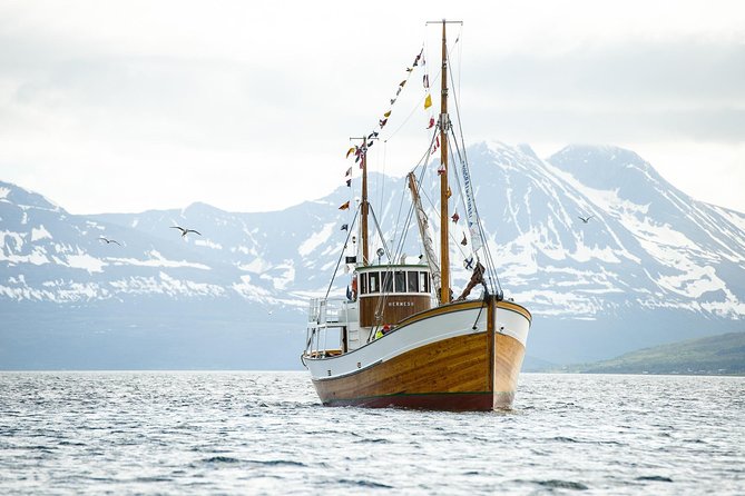 1 Hour Photo & History Cruise - A one-hour view of Tromsø from the water