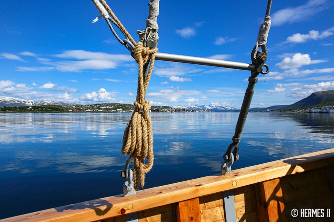 1 Hour Photo & History Cruise - The photo stops and Tromsø sights