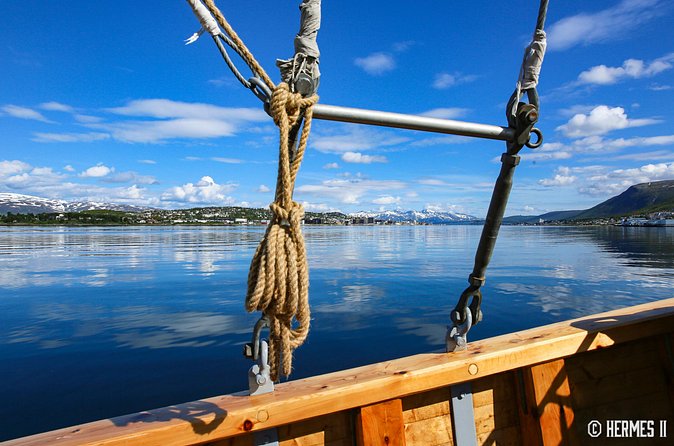 1 Hour Photo & History Cruise - Warm drinks, family appeal, and the crew