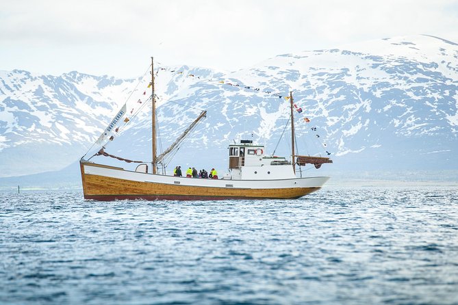 1 Hour Photo & History Cruise - Who should choose this Tromsø cruise?