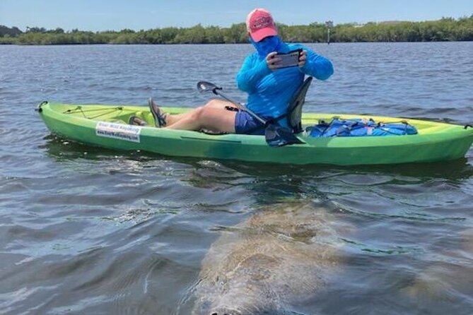 2.5 Hour Kayaking with Manatee and History Tour in Tarpon Springs - How this compares with a Florida springs outing