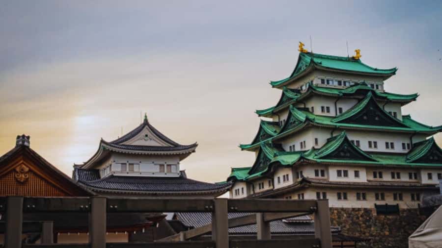 2.5-Hour Nagoya Tour: Castle History, Local Food & City View - Is $41 a fair price?