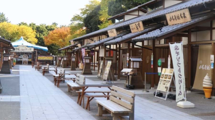 2.5-Hour Nagoya Tour: Castle History, Local Food & City View - Practical advice for a smoother visit