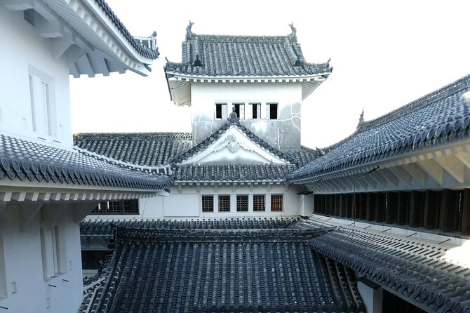 2.5 Hour Private History and Culture Tour in Himeji Castle - Who should book this Himeji Castle tour?