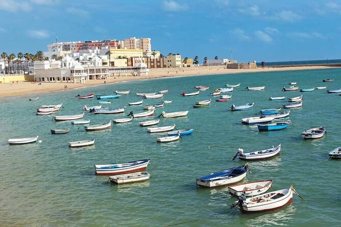 2 Hours Tour around Cádiz: History, anecdotes and curiosities - See how merchant houses worked