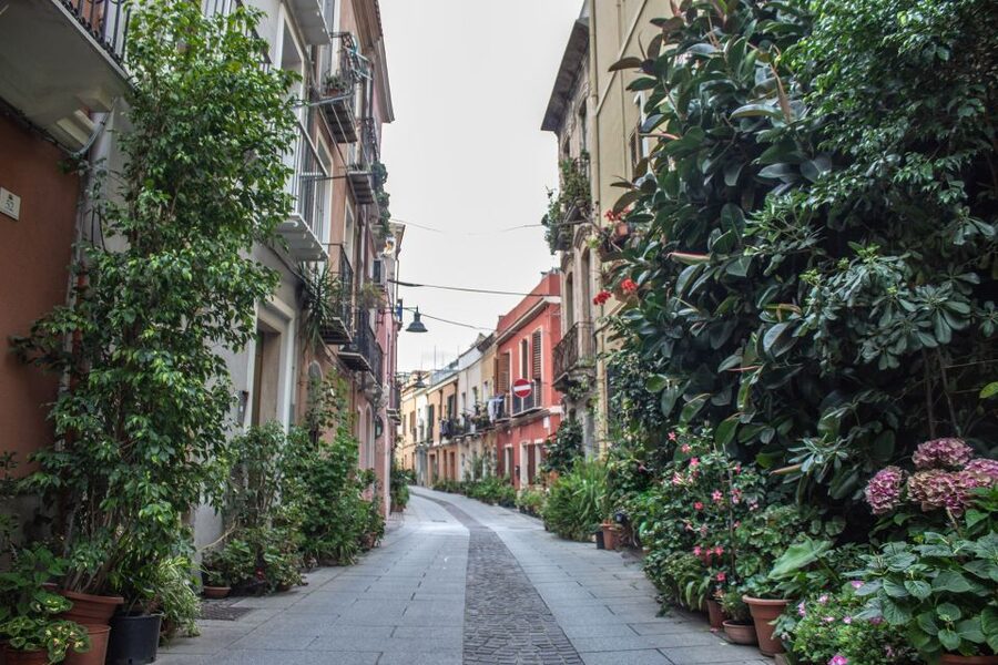 3 Hours Guided Tour of the Historical Cagliari - What the guide adds beyond a city map