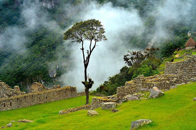 6-Day Cultural Tour to Machu Picchu - Day five: free time in Cusco