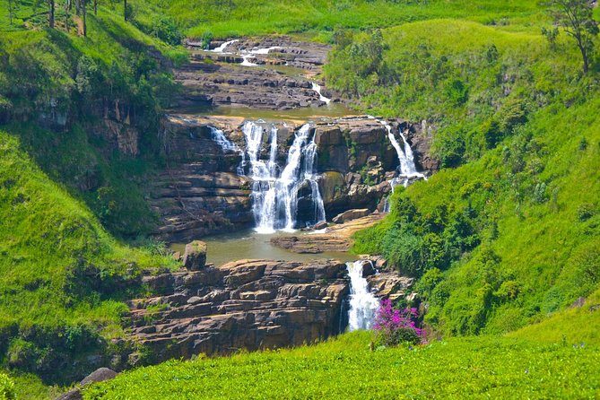 6-Day Sri Lanka Heritage Private Tour - Day 4: Peradeniya gardens and the tea hills