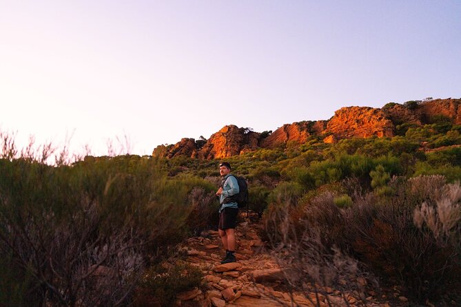 7 Day Adelaide to Uluru Adventure and Cultural Tour - Day 6: Kata Tjuṯa and the cultural centre