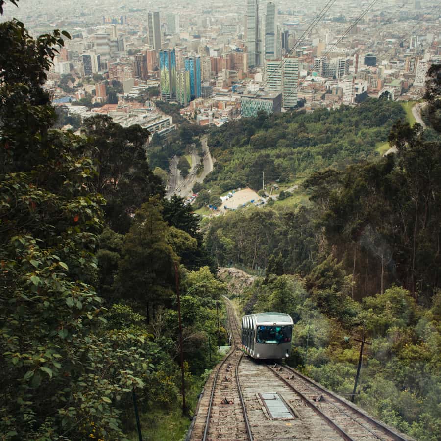 7-hour City Tour of Historic Bogotá with Monserrate - Fruit tasting, juice, and a serious look at Colombian coffee