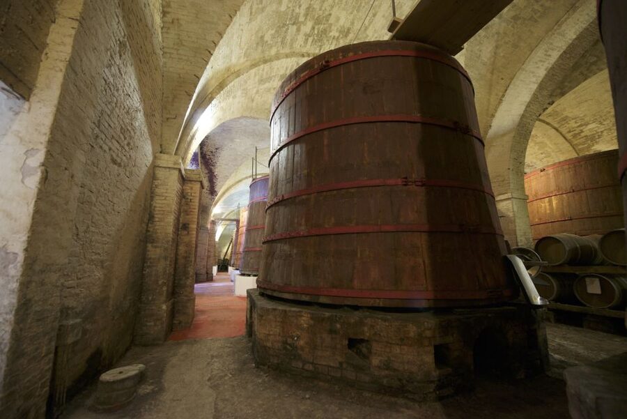 Abruzzo: Historic Cellar Wine Tour and Tasting - Should you book Cantina Mazzarosa?
