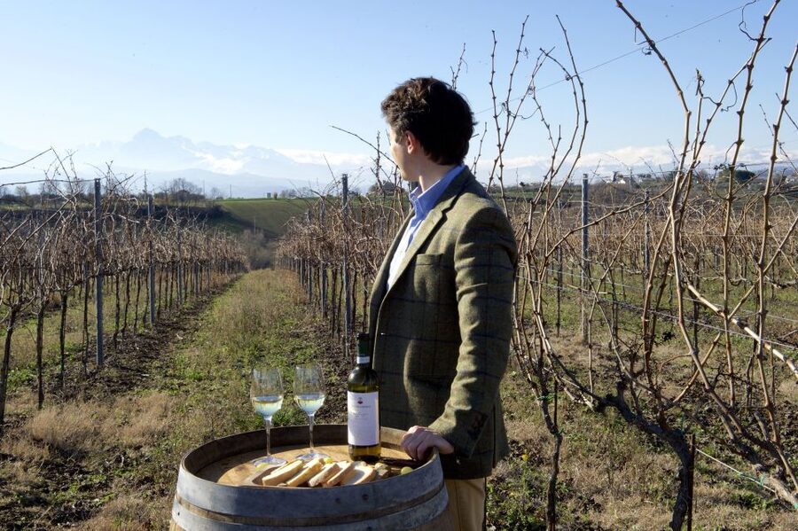 Abruzzo: Historic Cellar Wine Tour and Tasting - Heading underground to the historic cellar