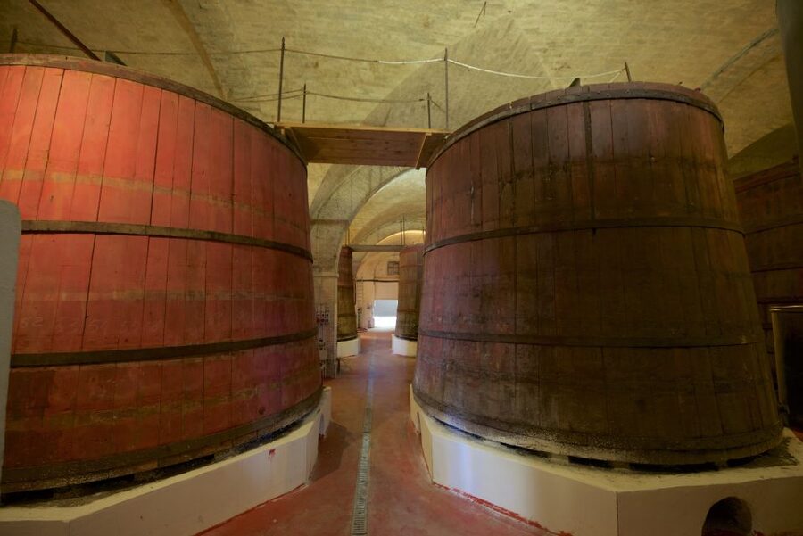 Abruzzo: Historic Cellar Wine Tour and Tasting - Bruschetta, olive oil, and local food