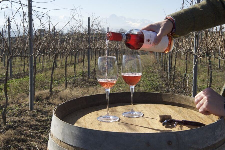 Abruzzo: Historic Cellar Wine Tour and Tasting - Ending with Cantuccini and Vino Cotto