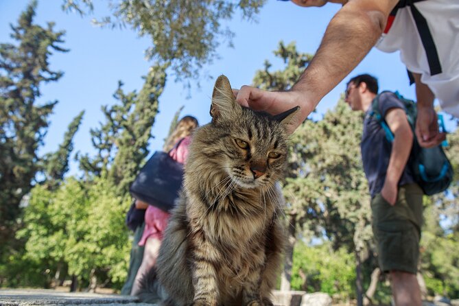 Acropolis of Athens, Ancient Agora and the Agora Museum Tour - Heat, shoes, water, and security