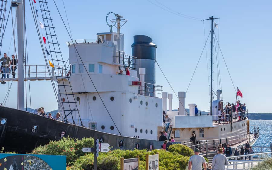 Albany: Historic Whaling Station Entry Ticket - See the blue whale skeleton and marine displays