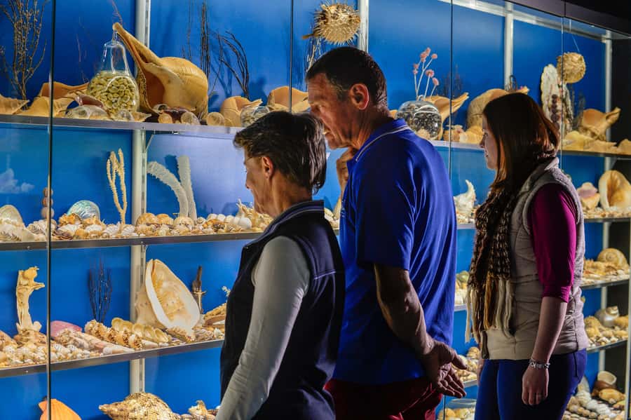 Albany: Historic Whaling Station Entry Ticket - How long to stay and how to plan your day