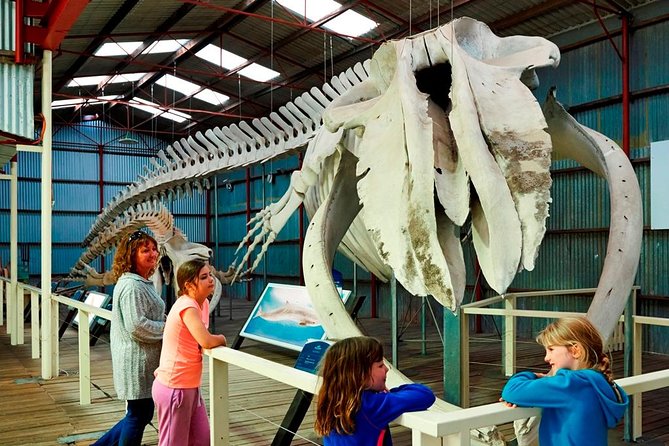 Albany's Historic Whaling Station Admission Ticket - The 20-minute trip from Albany CBD