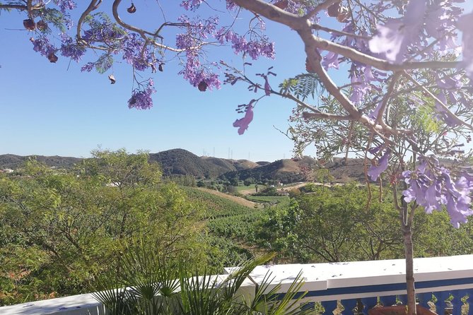 Albufeira Wine Tasting: Boutique Winery Tour & Historic Silves - Practical details that affect your day