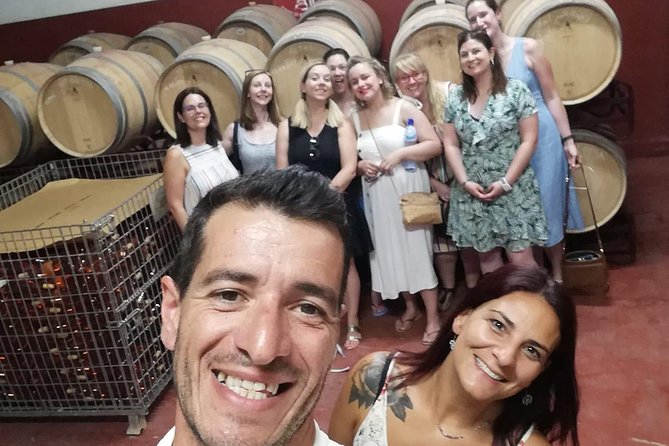 Albufeira Wine Tasting: Boutique Winery Tour & Historic Silves - Exploring Silves beneath the castle