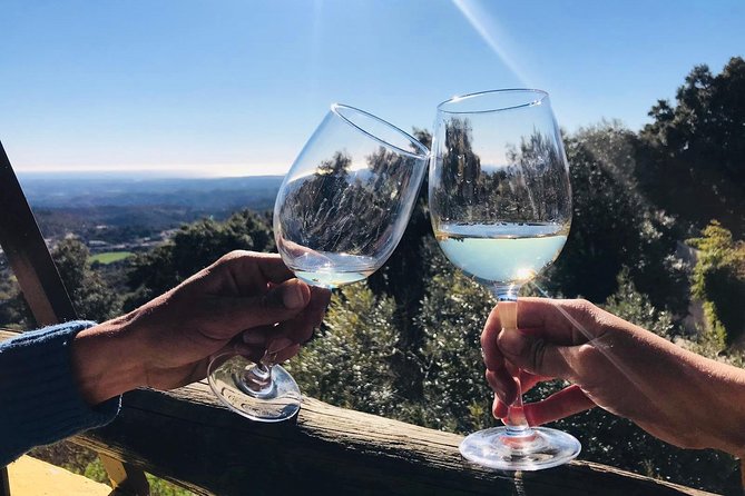 Albufeira Wine Tour: 2 Vineyards, 6 Tastings & Historic Silves - Who should book this day trip?
