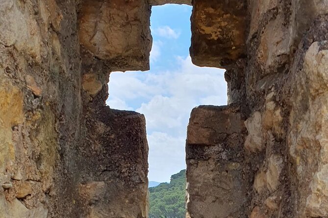 All of Tomar's history and loads of fun. - Small museums, art, and local food