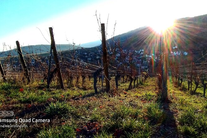 Alsace wine tour and medieval villages. Small group guided tour - The six-hour schedule and the full-day question