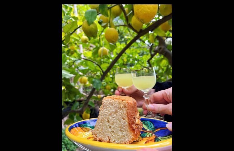 Amalfi Organic Lemon Tour & Tasting in the Historical Garden - Timing your visit around the lemon season