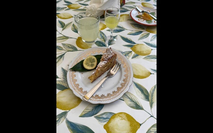 Amalfi Organic Lemon Tour & Tasting in the Historical Garden - Should you book the Amalfi Lemon Tour?