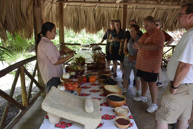 Ancient Chacchoben Mayan Ruins & Mayan Experience from Costa Maya - Walking Through Chacchoben’s Jungle Ruins