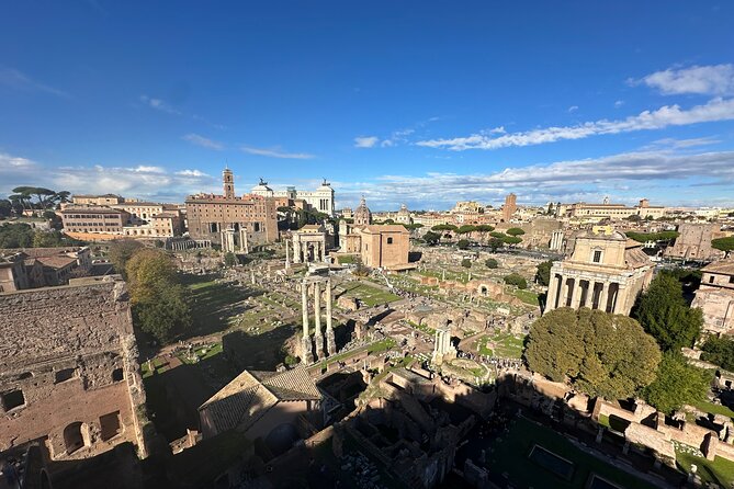 Ancient Rome Discovery: Colosseum, Forum, Palatine Guided Tour - What the small group changes