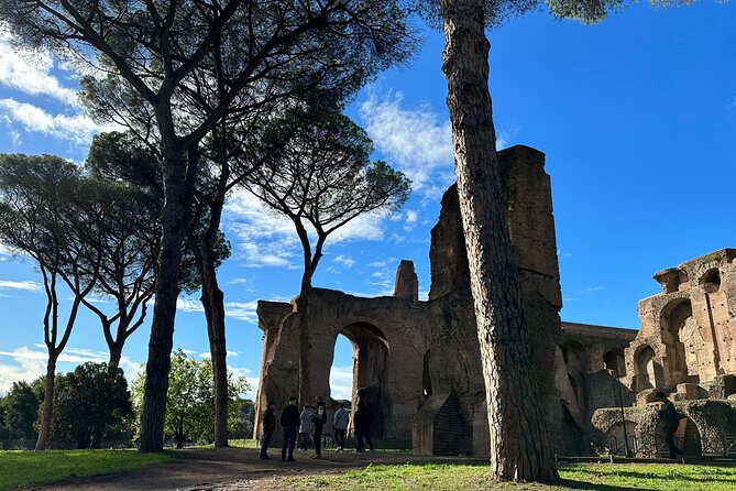 Ancient Rome Discovery: Colosseum, Forum, Palatine Guided Tour - Meeting point, timing, and ticket rules