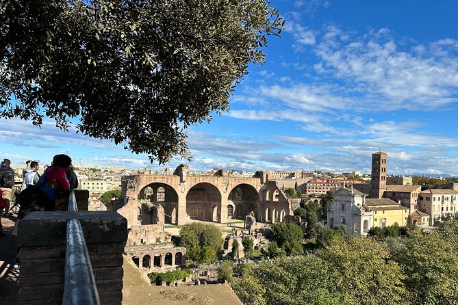 Ancient Rome Discovery: Colosseum, Forum, Palatine Guided Tour - Who should book this ancient Rome tour?