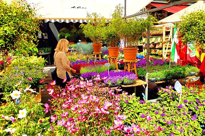 Anne Frank and Amsterdam Jewish History Walking Tour - Walking conditions, timing, and group size