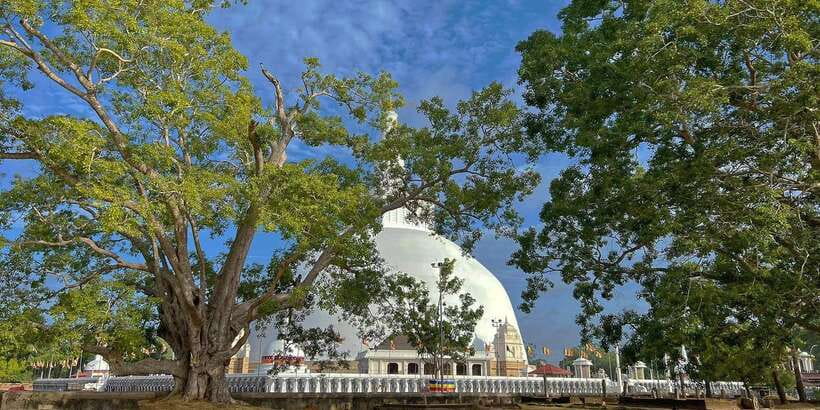 Anuradhapura Private Ancient City Day Tour - Key points to know before you book