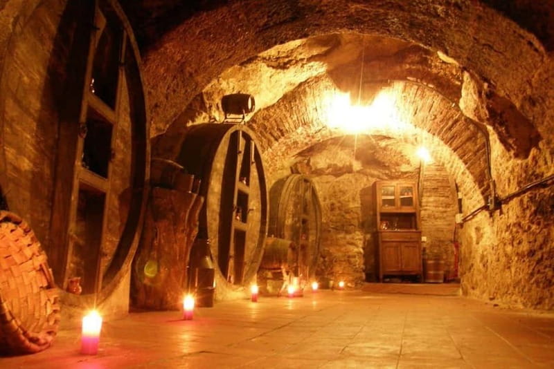 Aranda de Duero: Guided and Dramatized Visit to Medieval Wi - Starting at Don Carlos Historical Winery