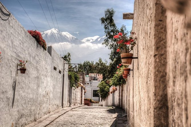 Arequipa, Historic and Colonial City and Santa Catalina Monastery - Guide quality and language considerations