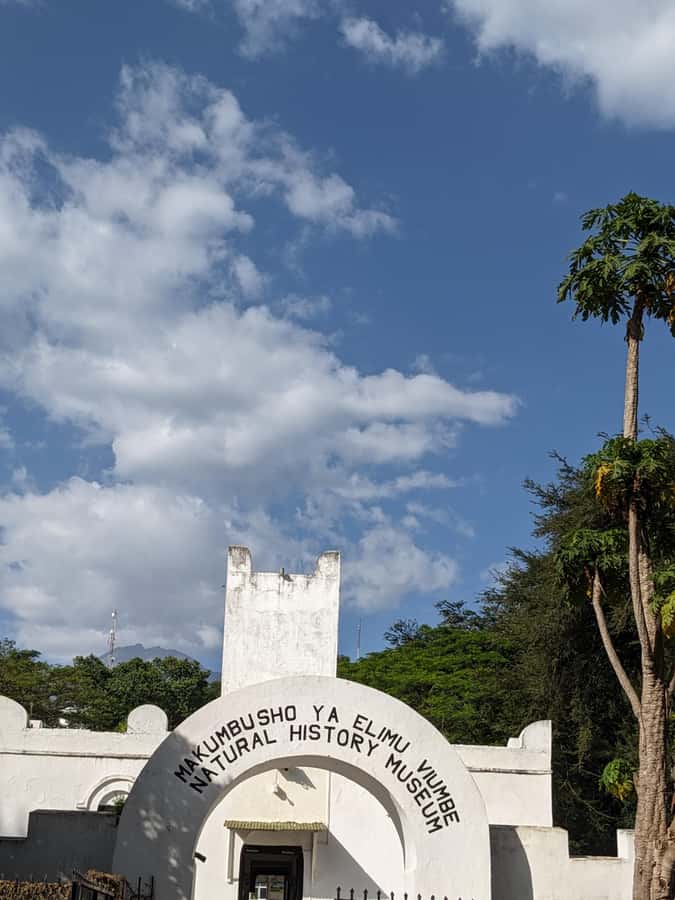 Arusha; Walking City Tour History, Culture & Lifestyle - African art and the Cultural Heritage Centre