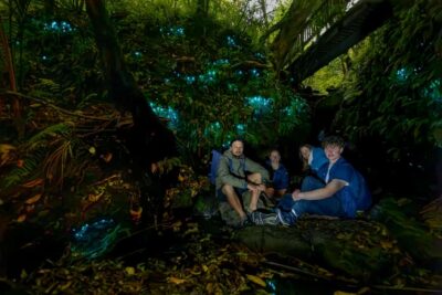 Auckland: Inner-City Glowworm Experience in Ancient Volcano