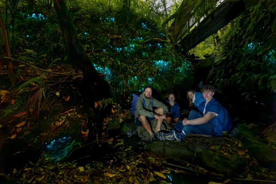 Auckland: Inner-City Glowworm Experience in Ancient Volcano - Starting at Wintergarden Cafe