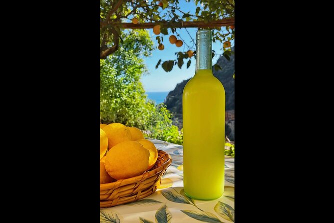 Authentic Amalfi Lemon Tour & Tasting in the Historical Garden - The lemon tasting: lemonade, cake, and limoncello