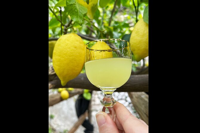 Authentic Amalfi Lemon Tour & Tasting in the Historical Garden - Who will enjoy this Amalfi farm visit?
