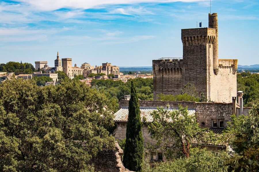 Avignon: Private Walking Tour – Discover History & Heritage - Why Avignon makes such a good walking tour