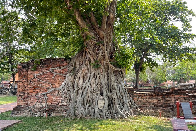 Ayutthaya Historical Old Capital day Tour from Bangkok - Wat Yai Chai Mongkol and Rows of Buddha Images